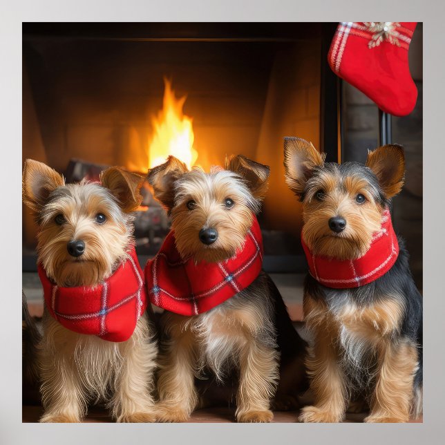 Australian Terrier vid brasan jul Poster (Framsidan)