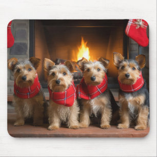 Australian Terrier vid öppen spis jul Musmatta