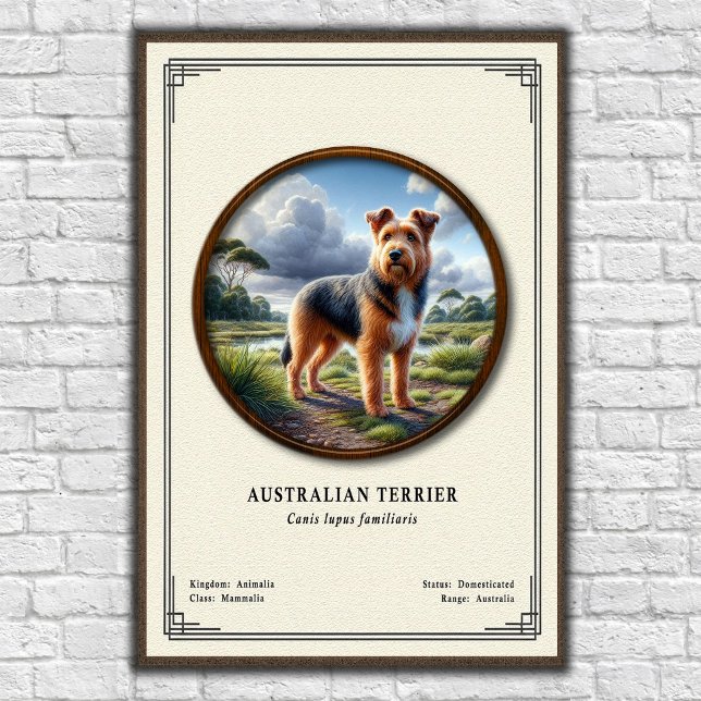 Australian Terrier Zoology Series Poster (Skapare uppladdad)