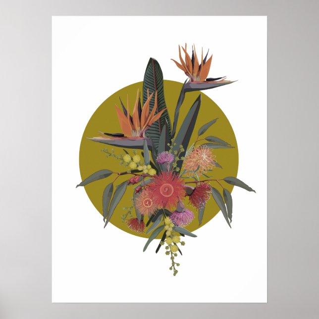 Australian Tropicals Poster (Framsidan)