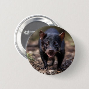 Australian Vild Young Tasmanian Djävulen Knapp