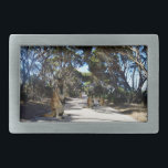 Australian Wallaby Family på Kangaroo Island<br><div class="desc">Bild på en smutsig väg med Gum träd och en Wallaby-familj njuter av en varm eftermiddag och tittar nyfiket på</div>