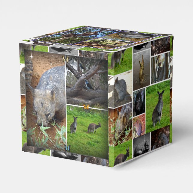 Australian Wildlife Collection Presentaskar (Framsidan Sidan)