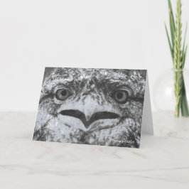 Australian Wildlife, Nature's Curmudgeon, Animal Kort