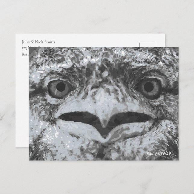 Australian Wildlife, Nature's Curmudgeon, Animal Vykort (Fram/baksida)