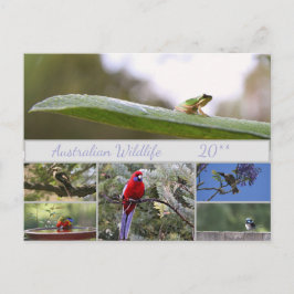 Australian Wildlife Photography Helg Vykort