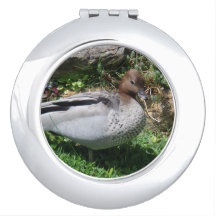 Australian Wood Duck in Tranquil Garden