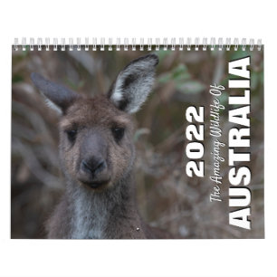 Australien 2025 Djurfoto för vilda djur Kalender