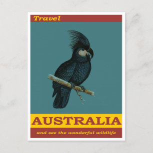 Australien Black Cockatoo Bird Vintage resor Vykort