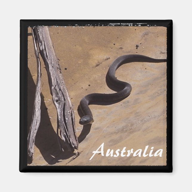 Australien - Brun orm, vildmark (Magnet) Magnet (Framsidan)