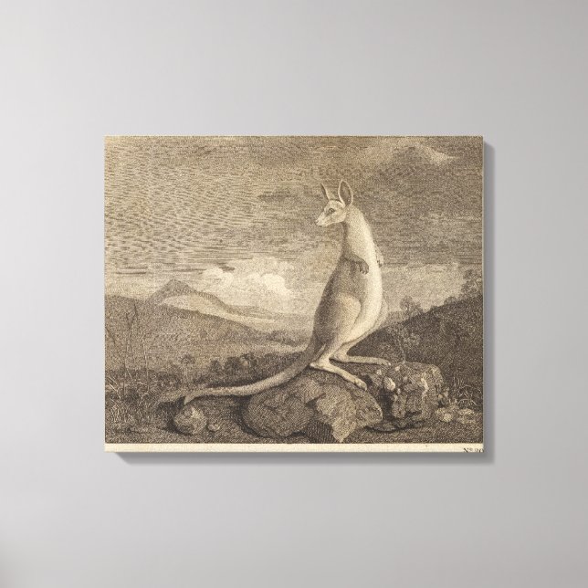 Australien Canvastryck (Framsida)