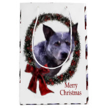 Australien Cattle Hund jul