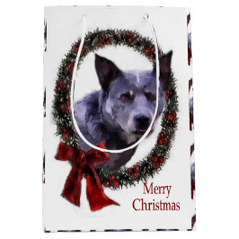 Australien Cattle Hund jul