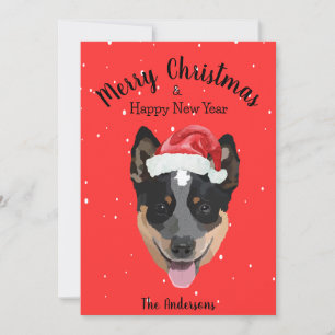 Australien Cattle Hund jul Julkort