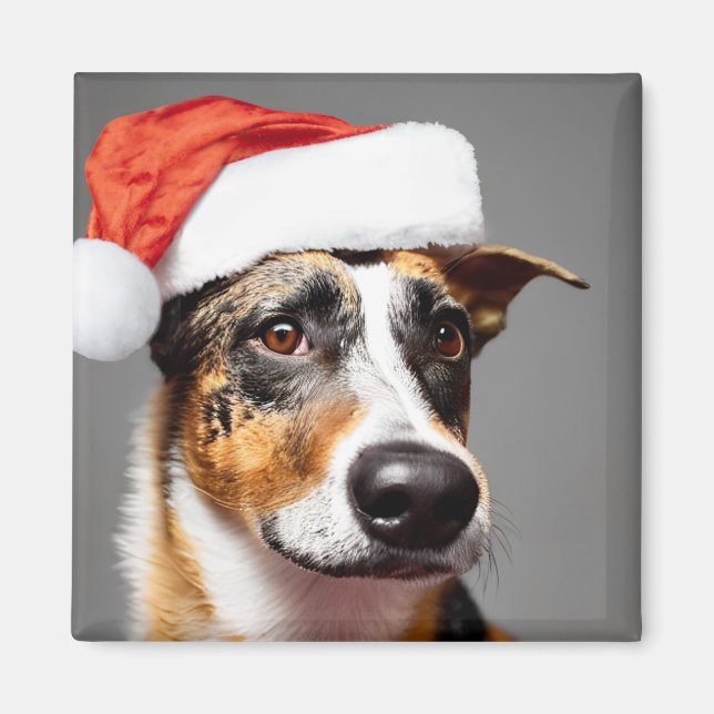 Australien Cattle Hund jul Magnet (Framsidan)