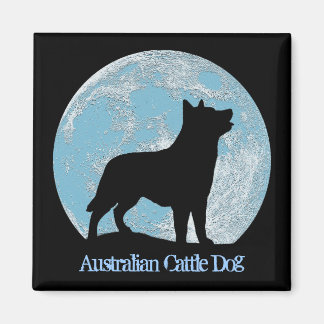 Australien Cattle Hund Magnet