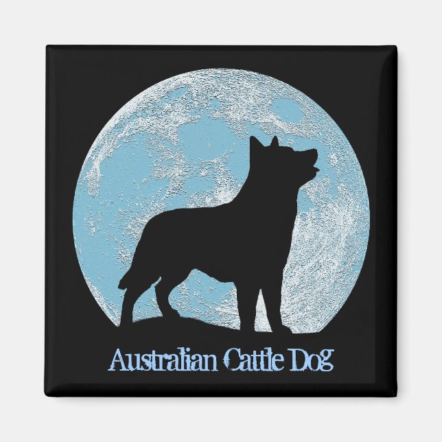 Australien Cattle Hund Magnet (Framsidan)