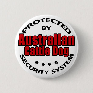 Australien Cattle Hund Security Knapp