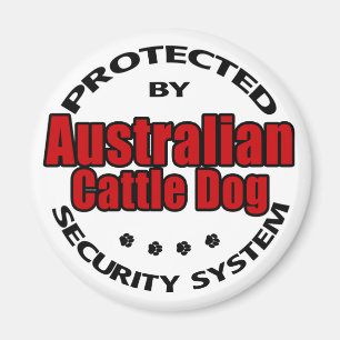 Australien Cattle Hund Security Magnet