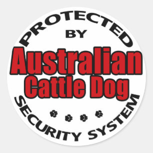 Australien Cattle Hund Security Runt Klistermärke