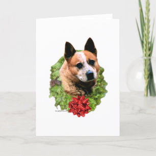 Australien Cattle Hund Wandean Helgkort