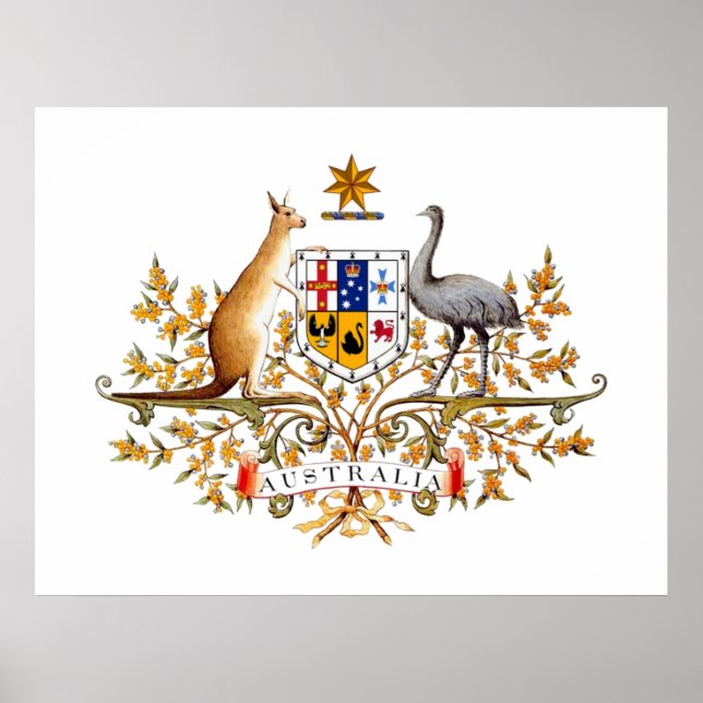 Australien COA Poster (Framsidan)