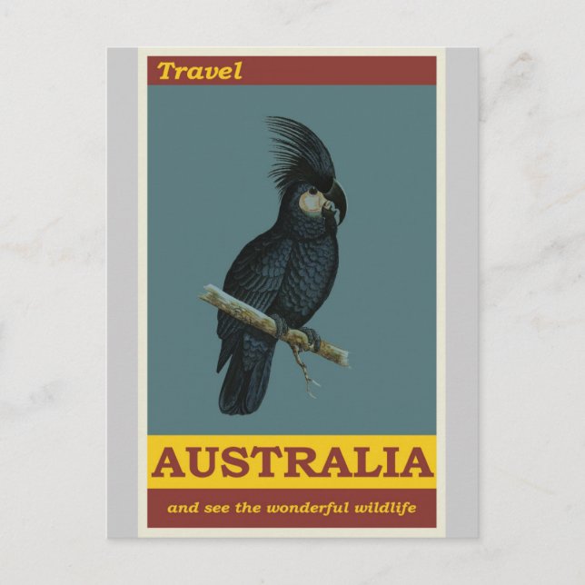 Australien Cockatoo Vintage resor Poster Vykort (Framsida)