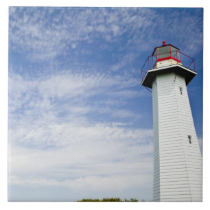 Australien, delstaten Queensland, Cleveland.Den Kakelplatta