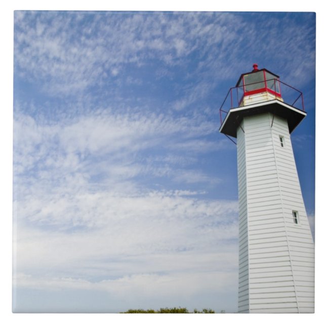 Australien, delstaten Queensland, Cleveland.Den Kakelplatta (Framsidan)