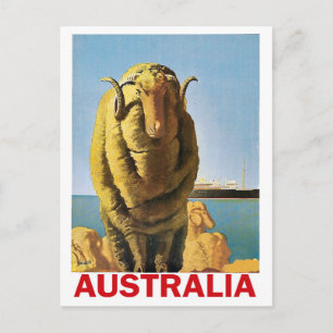 Australien, får vid kusten vykort