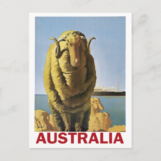 Australien, får vid kusten vykort (Framsida)