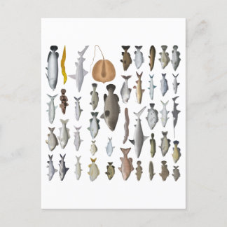 Australien Freshwater Fish Group Vykort