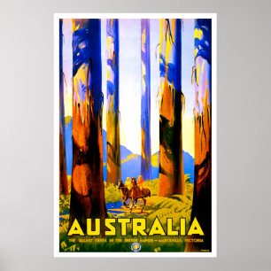 Australien, höga träd i Marysville, Victoria Poster