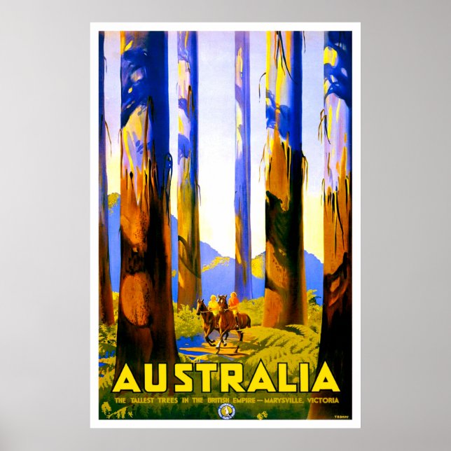 Australien, höga träd i Marysville, Victoria Poster (Framsidan)
