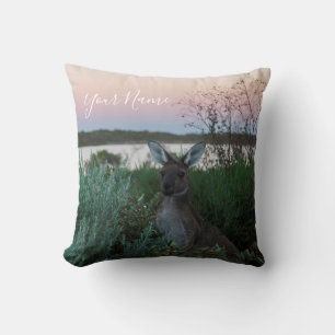 Australien Kangaroo Animal Wildlife Sunset Natatur Kudde