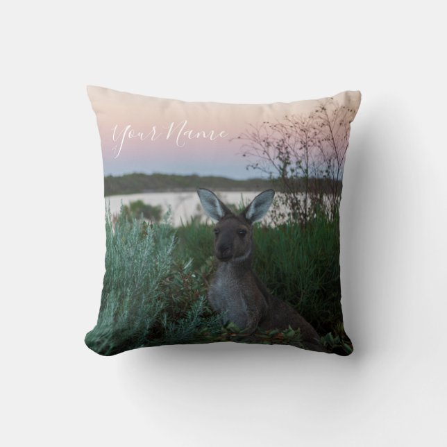Australien Kangaroo Animal Wildlife Sunset Natatur Kudde (Framsida)
