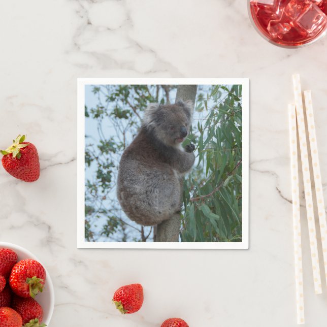 Australien Kangaroo Island Cute Koala i Träd Pappersservett (Insitu)