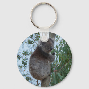 Australien Kangaroo Island Koala i Träd Nyckelring