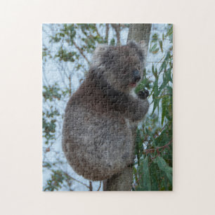 Australien Kangaroo Island Koala Träd, 252 delarar Pussel