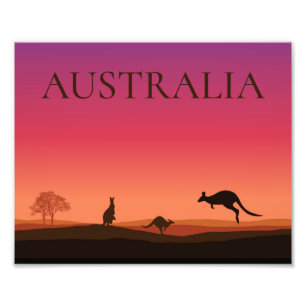 Australien Känguru Foto Poster Print