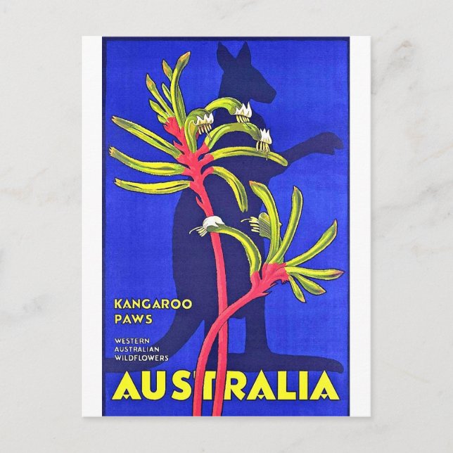 Australien, känguru klövar, australienska vilda bl vykort (Framsida)