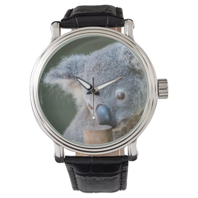 Australien Koala Bear Classic watch Armbandsur (Framsida)