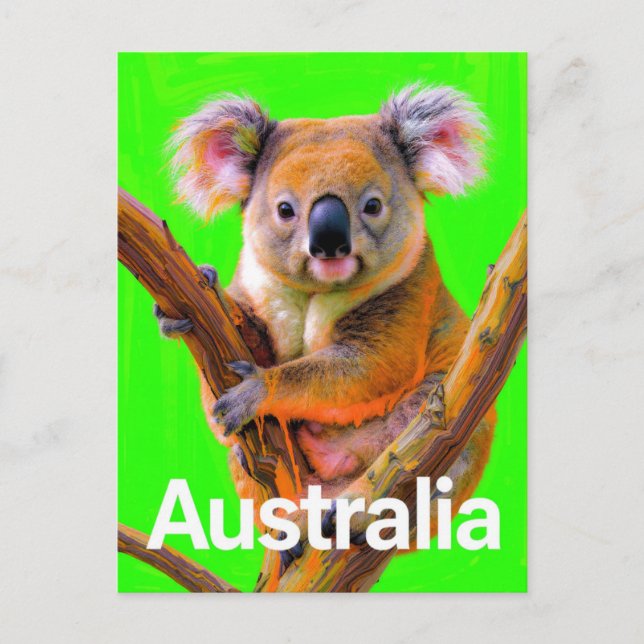 Australien Koala Björn Pop Art Vykort (Framsida)