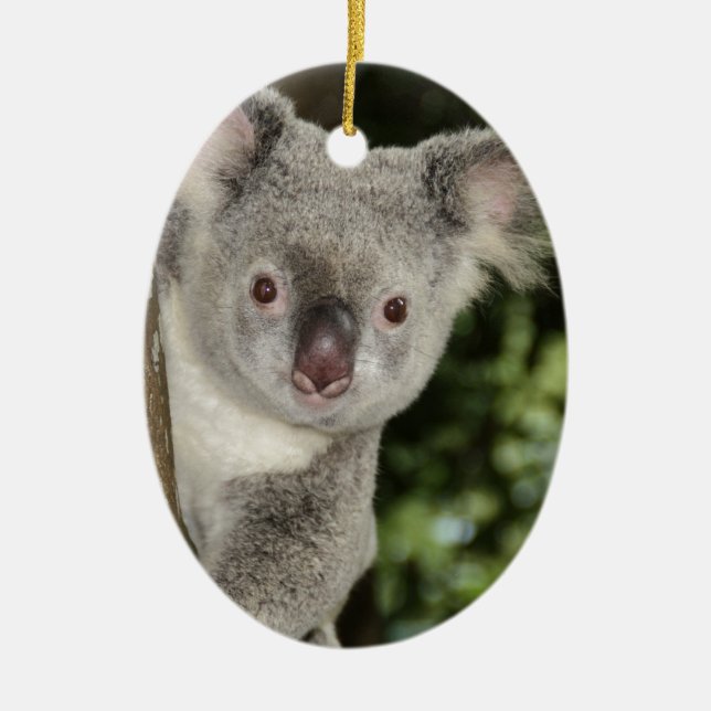 Australien koala björn sött djur julgransprydnad keramik (Framsidan)