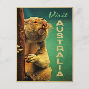 Australien Koala Vykort