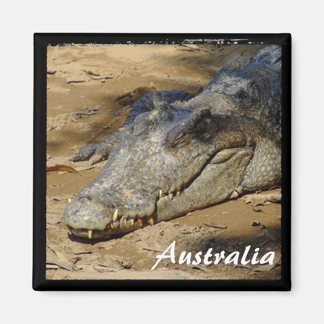 Australien, Kroatien, Bush (Magnet) Magnet (Framsidan)