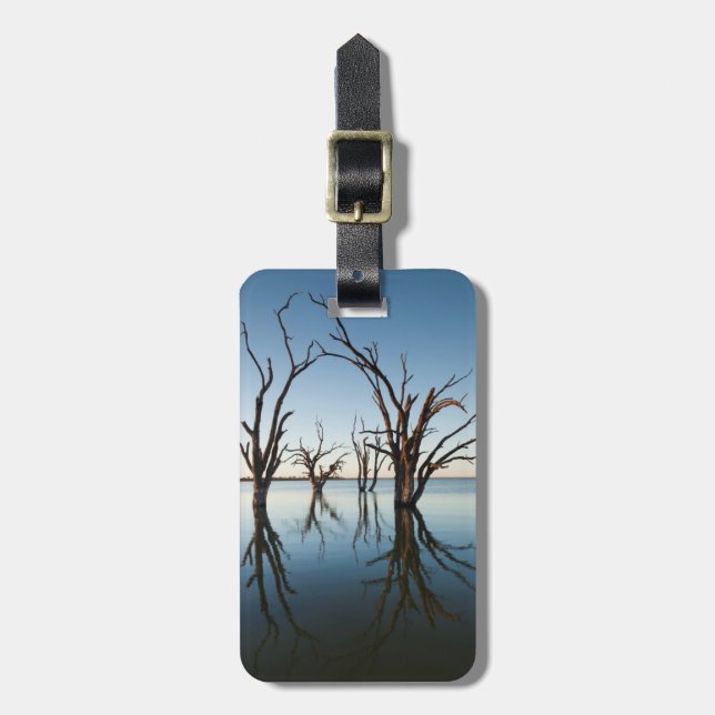 Australien, Murray River Valley, Barmera, sjö Bagagebricka (Vertikal Framsida)