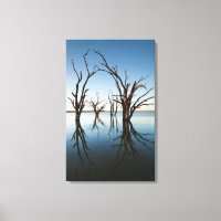 Australien, Murray River Valley, Barmera, sjö