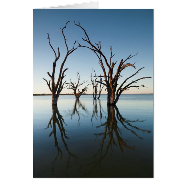 Australien, Murray River Valley, Barmera, sjö Hälsningskort (Framsidan)