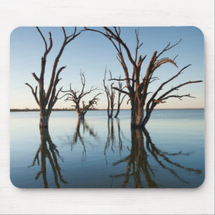 Australien, Murray River Valley, Barmera, sjö Musmatta